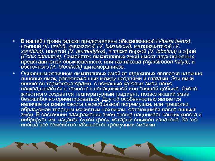  • • В нашей стране гадюки представлены обыкновенной (Vipera berus), степной (V. ursini),