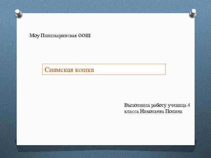 Моу Плишкаринская оош Сиамская кошка Выполнила работу ученица 4 класса Николаева Полина 