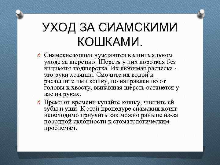 УХОД ЗА СИАМСКИМИ КОШКАМИ. O Сиамские кошки нуждаются в минимальном уходе за шерстью. Шерсть