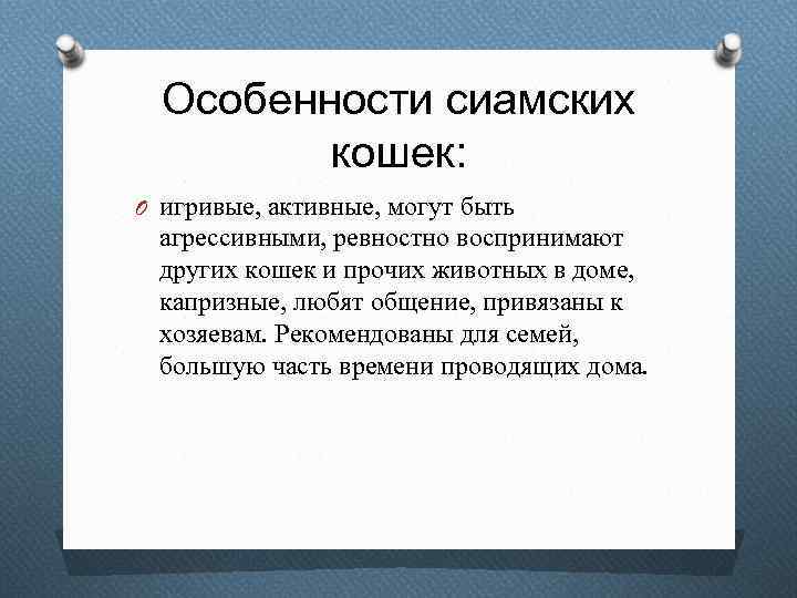 Особенности сиамских кошек: O игривые, активные, могут быть агрессивными, ревностно воспринимают других кошек и