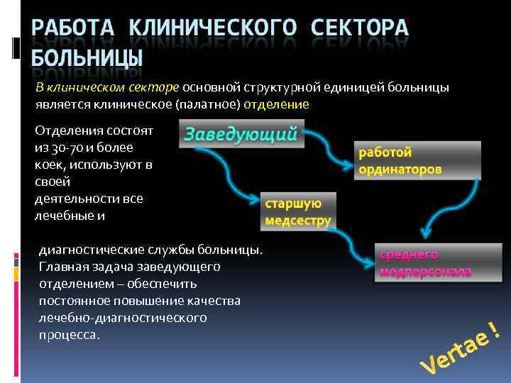 В клиническом секторе основной структурной единицей больницы является клиническое (палатное) отделение Отделения состоят из