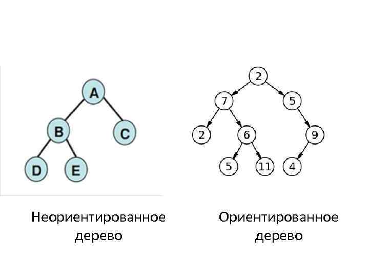 Нарисовать в виде неориентированного графа сеть отражающую структуру дорожной связи между населенным