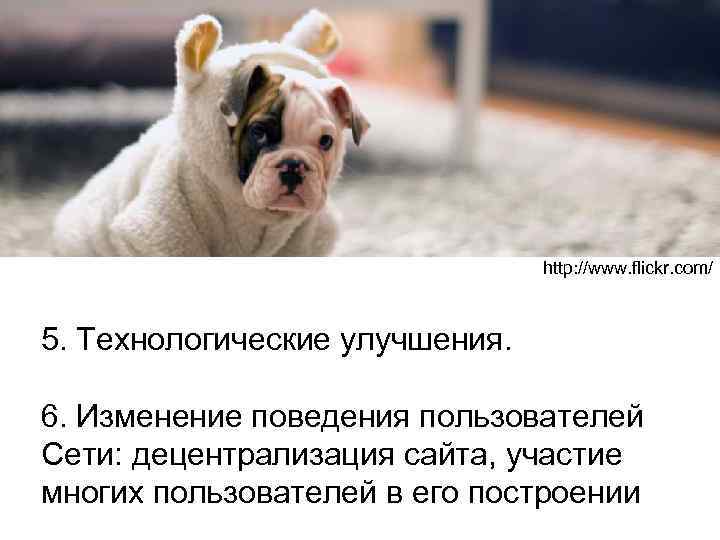 http: //www. flickr. com/ 5. Технологические улучшения. 6. Изменение поведения пользователей Сети: децентрализация сайта,