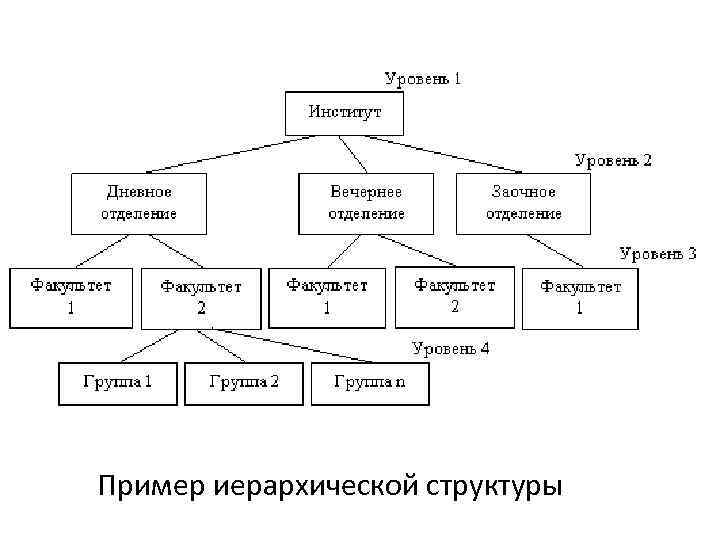 Пример иерархической структуры 