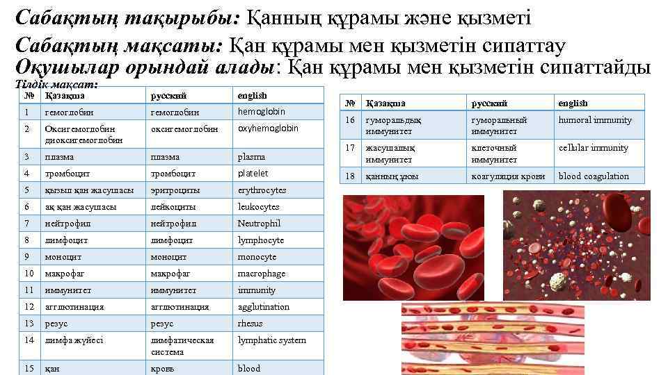 Сабақтың тақырыбы: Қанның құрамы және қызметі Сабақтың мақсаты: Қан құрамы мен қызметін сипаттау Оқушылар