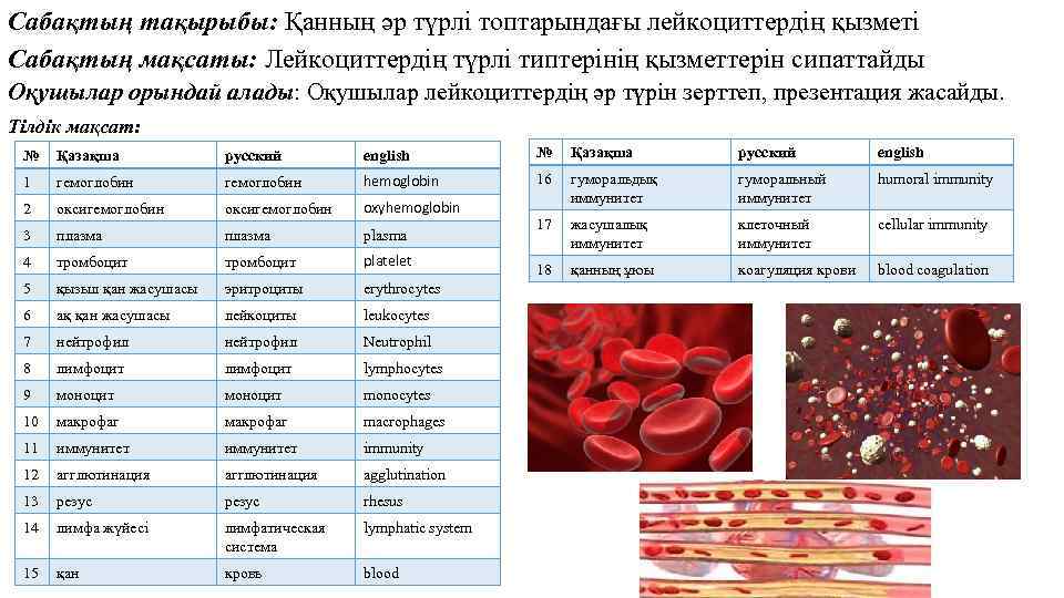Сабақтың тақырыбы: Қанның әр түрлі топтарындағы лейкоциттердің қызметі Сабақтың мақсаты: Лейкоциттердің түрлі типтерінің қызметтерін