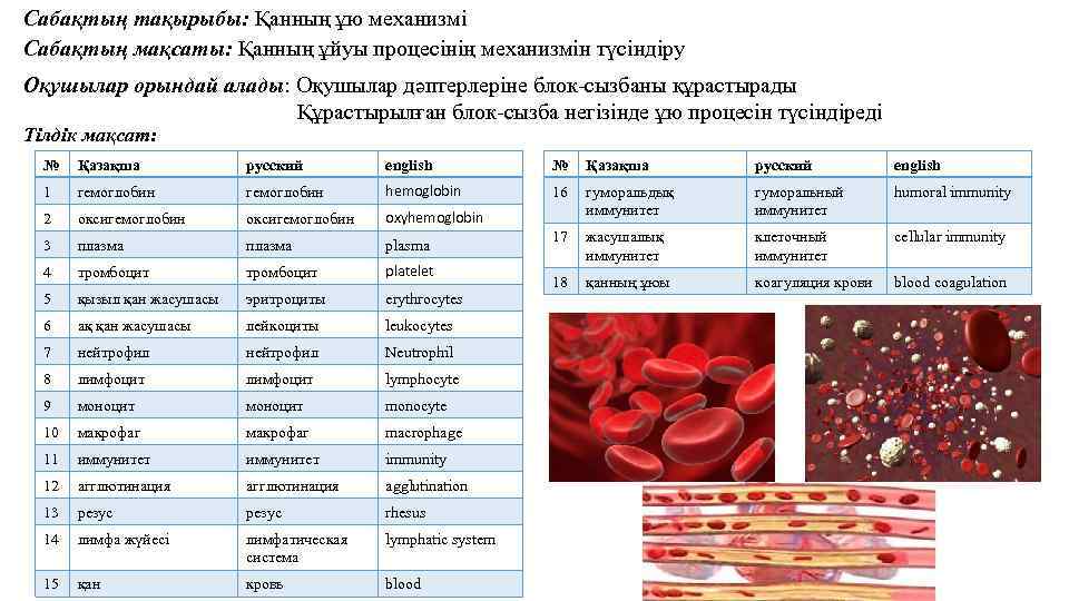 Сабақтың тақырыбы: Қанның ұю механизмі Сабақтың мақсаты: Қанның ұйуы процесінің механизмін түсіндіру Оқушылар орындай
