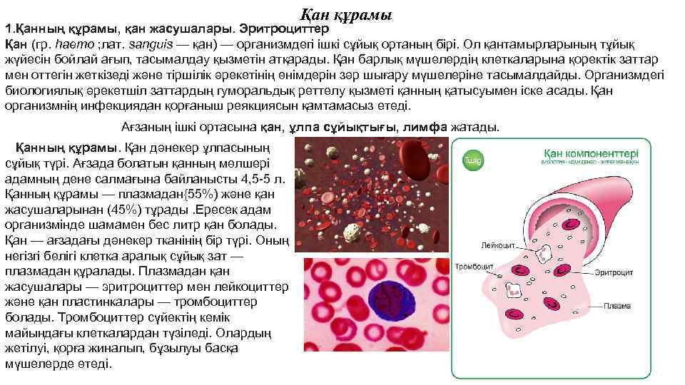 Қан құрамы 1. Қанның құрамы, қан жасушалары. Эритроциттер Қан (гр. haemo ; лат. sanguis