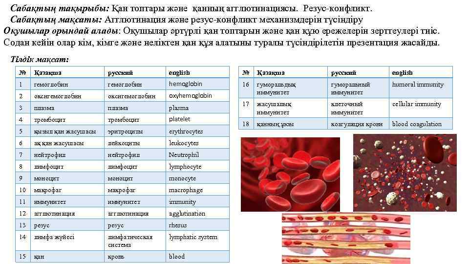 Сабақтың тақырыбы: Қан топтары және қанның агглютинациясы. Резус-конфликт. Сабақтың мақсаты: Агглютинация және резус-конфликт механизмдерін