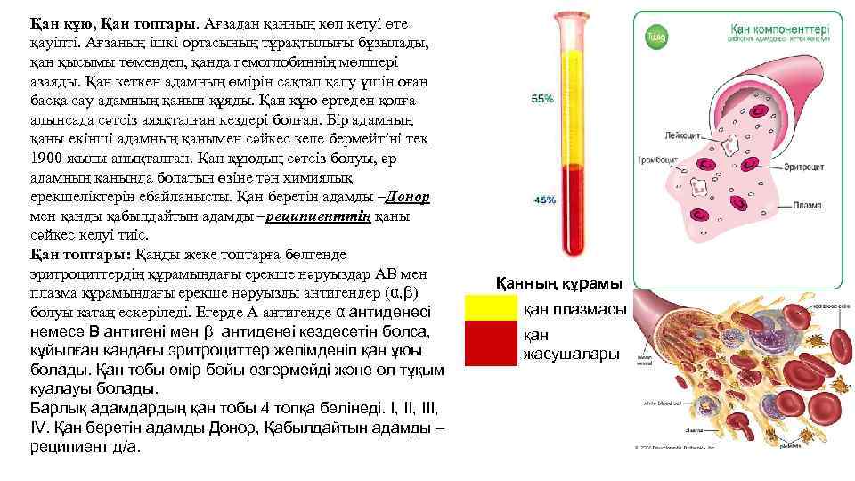 Қан топтары және қан құю резус фактор