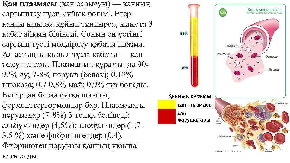 Қан плазмасы (қан сарысуы) — қанның сарғыштау түсті сұйық бөлімі. Егер қанды ыдысқа құйып