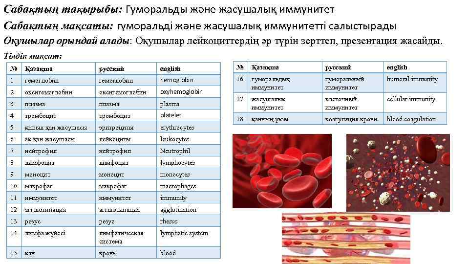 Қан топтары және қан құю резус фактор