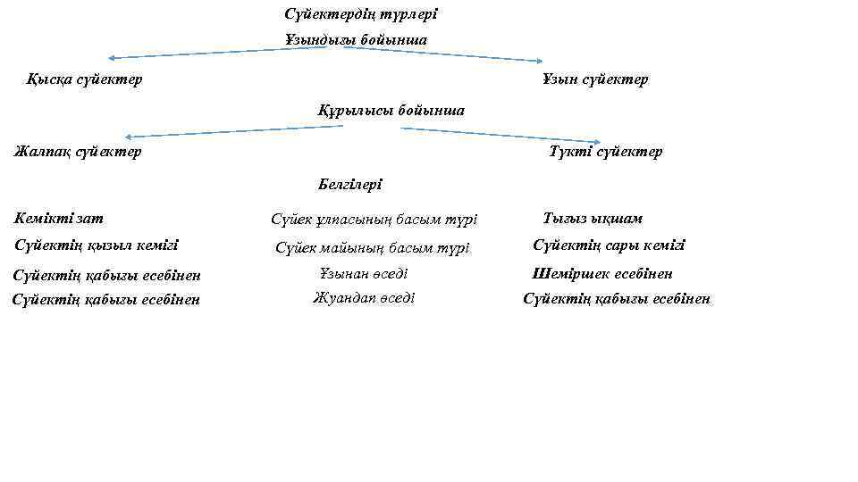 Сүйектердің түрлері Ұзындығы бойынша Қысқа сүйектер Ұзын сүйектер Құрылысы бойынша Жалпақ сүйектер Түкті сүйектер