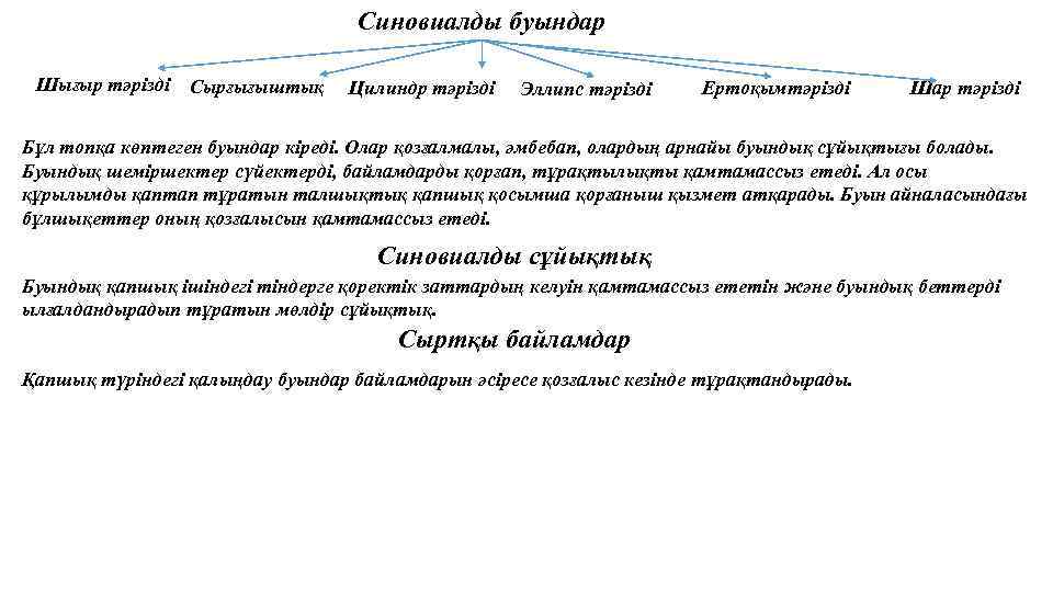 Синовиалды буындар Шығыр тәрізді Сырғығыштық Цилиндр тәрізді Эллипс тәрізді Ертоқымтәрізді Шар тәрізді Бұл топқа