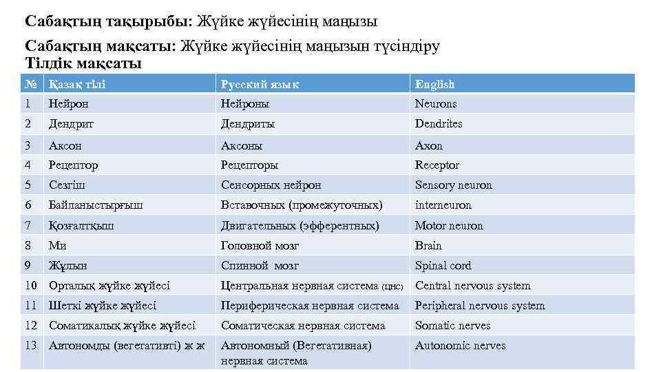 Сабақтың тақырыбы: Жүйке жүйесінің маңызы Сабақтың мақсаты: Жүйке жүйесінің маңызын түсіндіру Тілдік мақсаты №