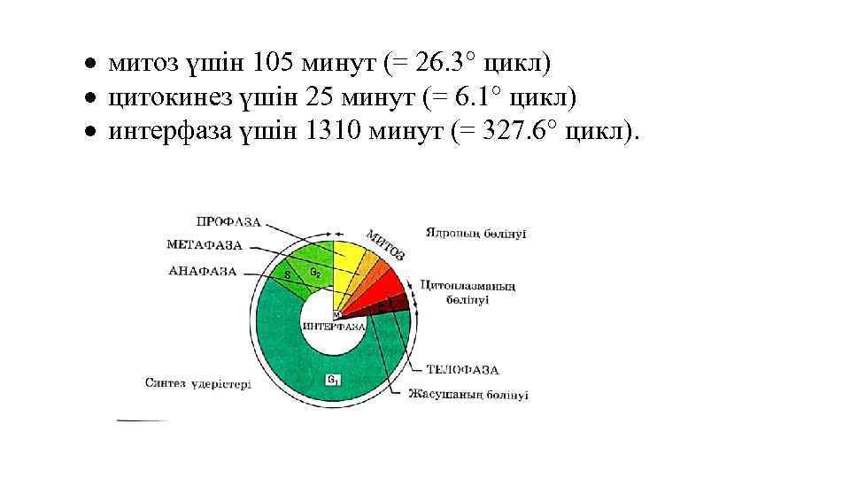 105 минут