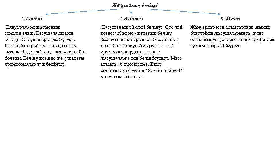 Жасушаның бөлінуі 1. Митоз Жануарлар мен адамның соматикалық Жасушалары мен өсімдік жасушаларында жүреді. Бастапқы