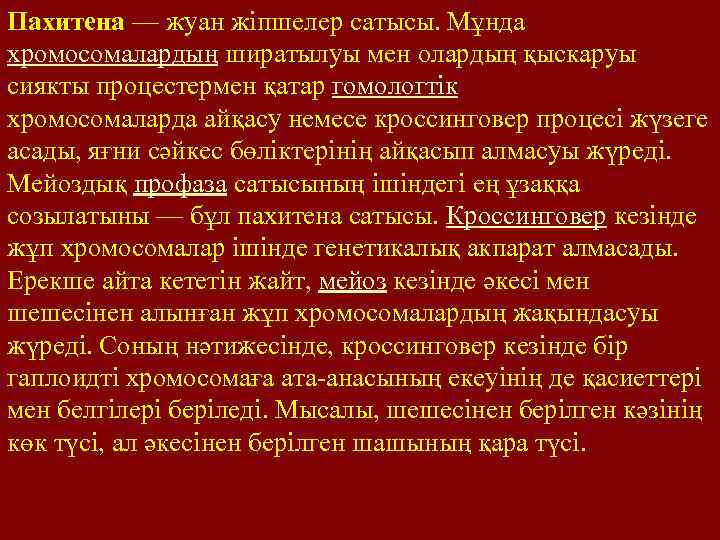 Пахитена — жуан жіпшелер сатысы. Мұнда хромосомалардың ширатылуы мен олардың қыскаруы сиякты процестермен қатар