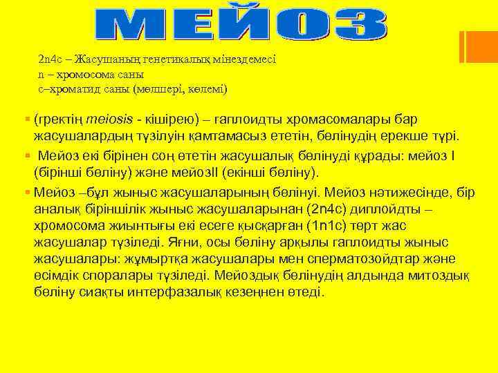 2 n 4 c – Жасушаның генетикалық мінездемесі n – хромосома саны с–хроматид саны