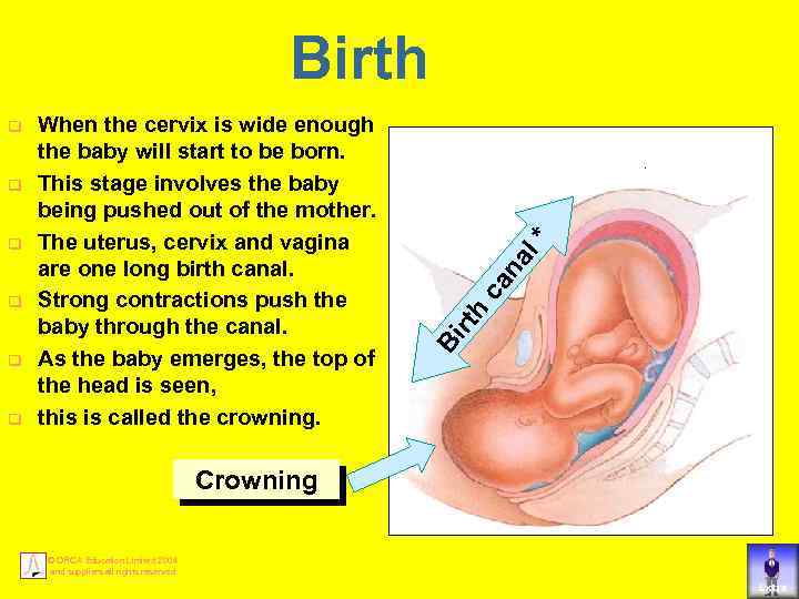 q q q Crowning © ORCA Education Limited 2004 and suppliers all rights reserved