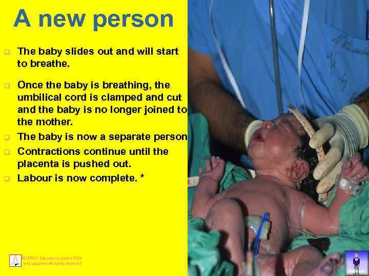 A new person q The baby slides out and will start to breathe. q