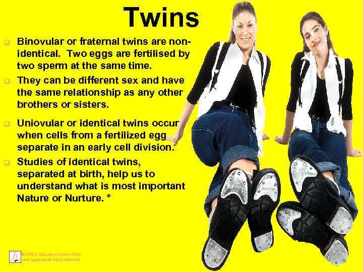 Twins q q Binovular or fraternal twins are nonidentical. Two eggs are fertilised by