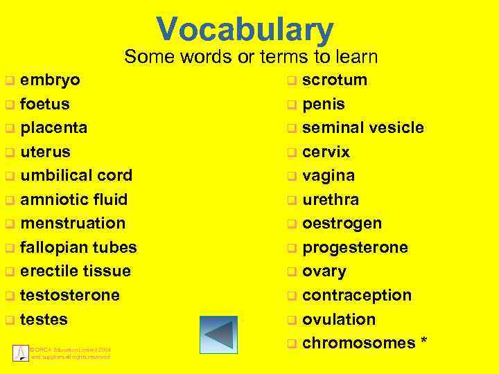 Vocabulary Some words or terms to learn embryo q foetus q placenta q uterus
