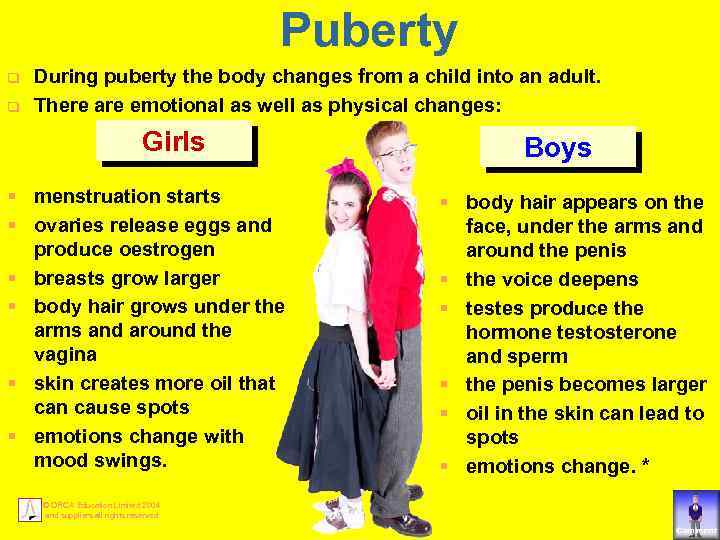 Puberty q q During puberty the body changes from a child into an adult.