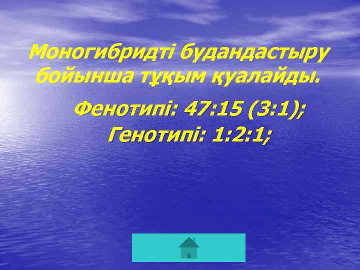Моногибридті будандастыру бойынша тұқым қуалайды. Фенотипі: 47: 15 (3: 1); Генотипі: 1: 2: 1;