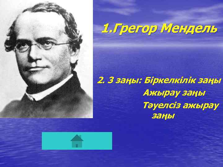 1. Грегор Мендель 2. 3 заңы: Біркелкілік заңы Ажырау заңы Тәуелсіз ажырау заңы 