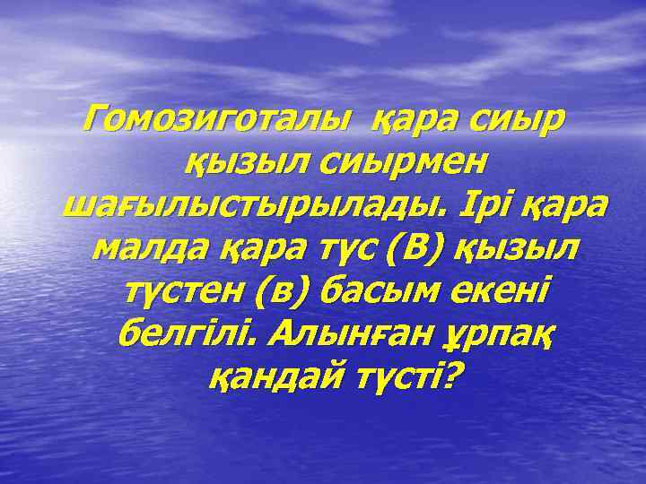 Гомозиготалы қара сиыр қызыл сиырмен шағылыстырылады. Ірі қара малда қара түс (В) қызыл түстен