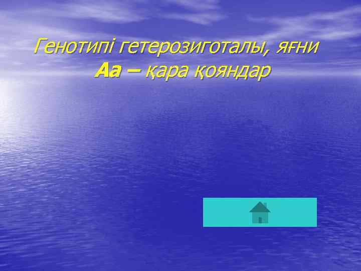 Генотипі гетерозиготалы, яғни Аа – қара қояндар 