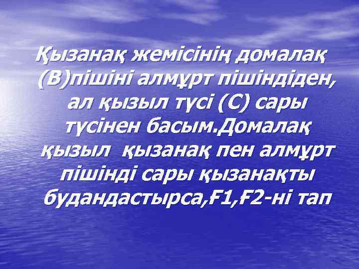 Қызанақ жемісінің домалақ (В)пішіні алмұрт пішіндіден, ал қызыл түсі (С) сары түсінен басым. Домалақ