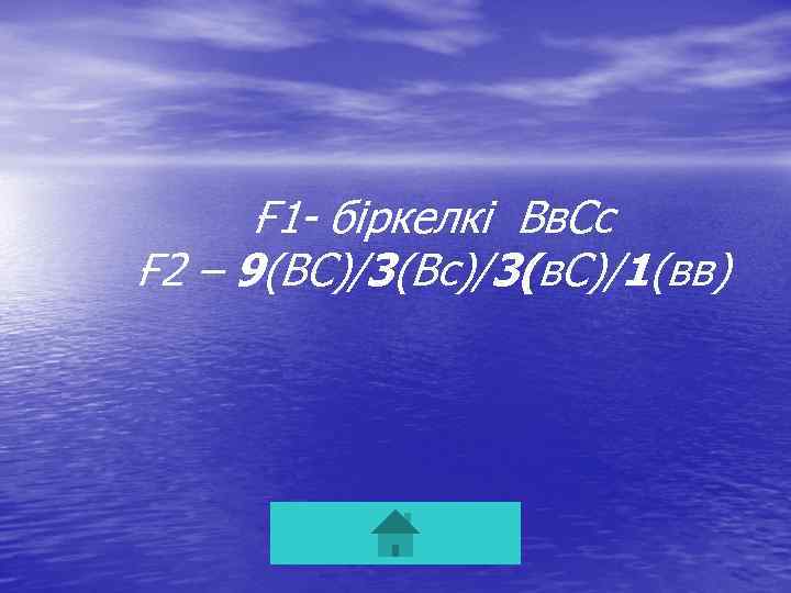 Ғ 1 - біркелкі Вв. Сс Ғ 2 – 9(ВС)/3(Вс)/3(в. С)/1(вв) 
