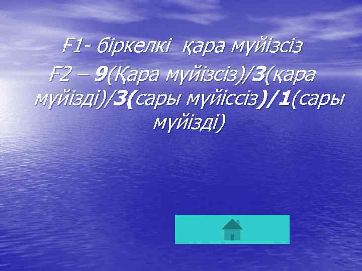 Ғ 1 - біркелкі қара мүйізсіз Ғ 2 – 9(Қара мүйізсіз)/3(қара мүйізді)/3(сары мүйіссіз)/1(сары мүйізді)