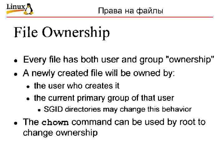 Права на файлы 