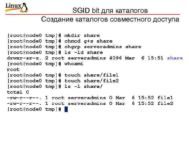 SGID bit для каталогов Создание каталогов совместного доступа 