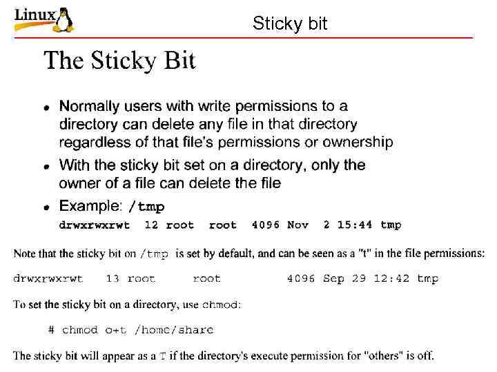 Sticky bit 