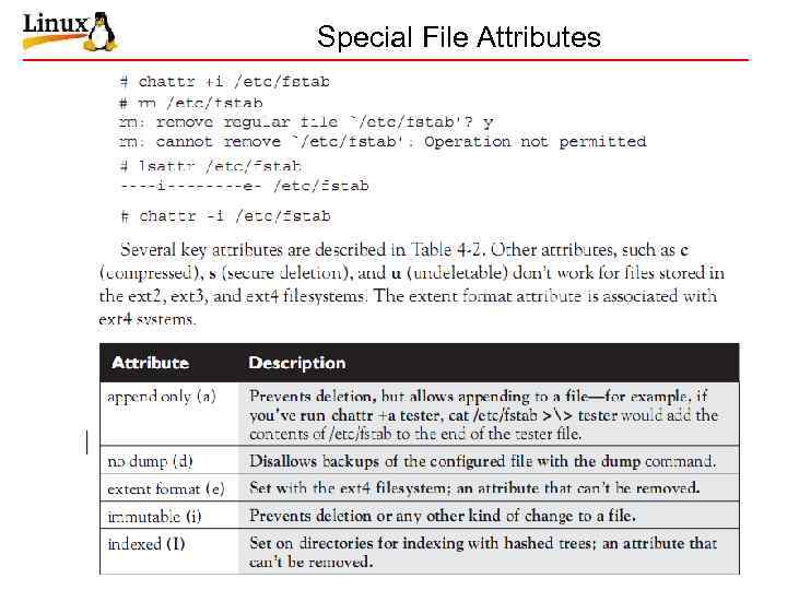 Special File Attributes 