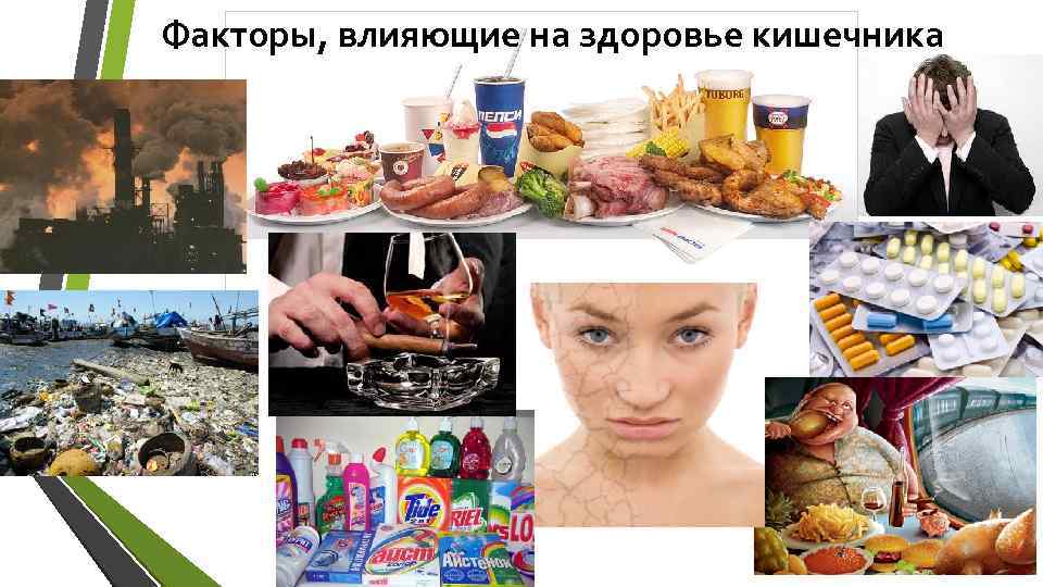 Факторы, влияющие на здоровье кишечника 