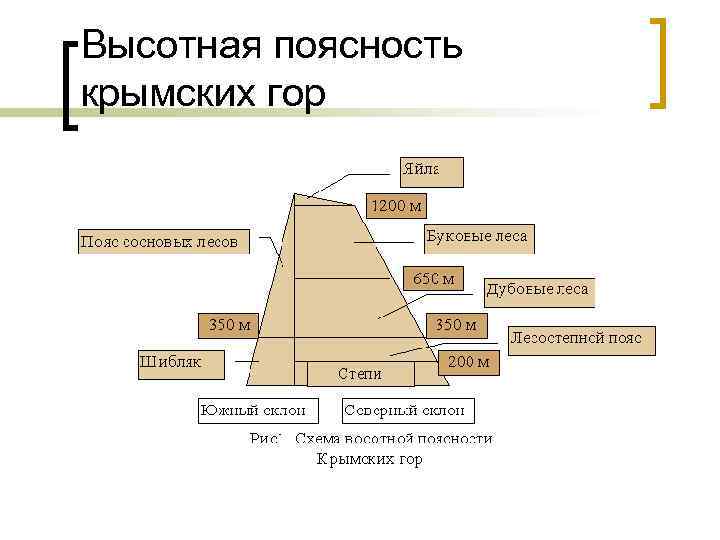 Поясность гор. Высотная поясность гор Крыма. Крымские горы Высотная поясность схема. Схема ВЫСОТНОЙ поясности крымских гор. Высотная поясность крымских гор 8 класс.