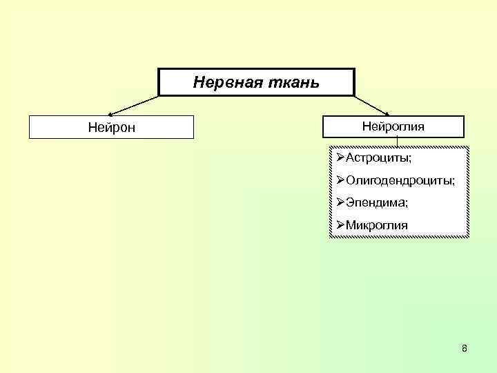 Нервная ткань Нейрон Нейроглия ØАстроциты; ØОлигодендроциты; ØЭпендима; ØМикроглия 8 