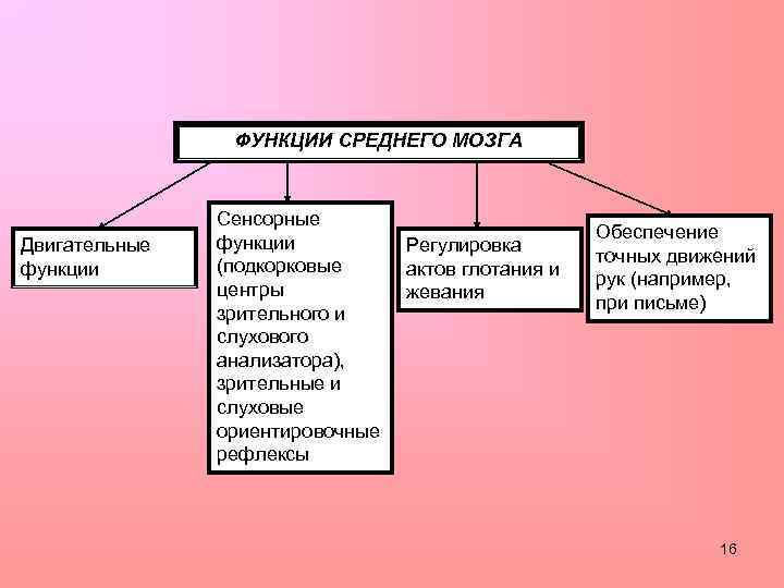 Союз педиатров России