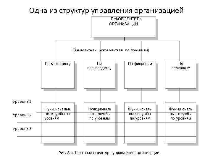 Одна из структур управления организацией 