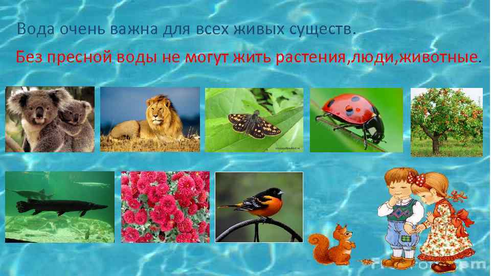 Вода очень важна для всех живых существ. Без пресной воды не могут жить растения,