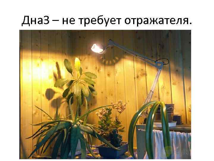 Дна. З – не требует отражателя. 