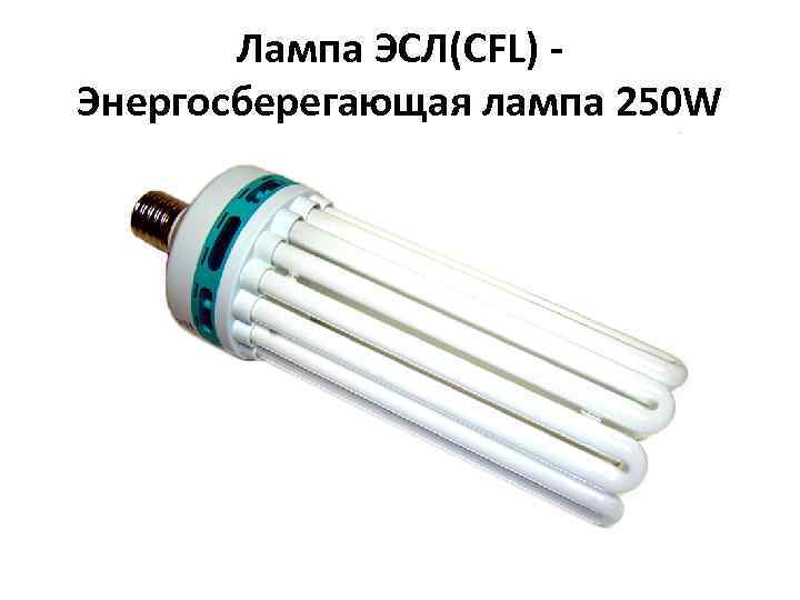 Лампа ЭСЛ(CFL) Энергосберегающая лампа 250 W 