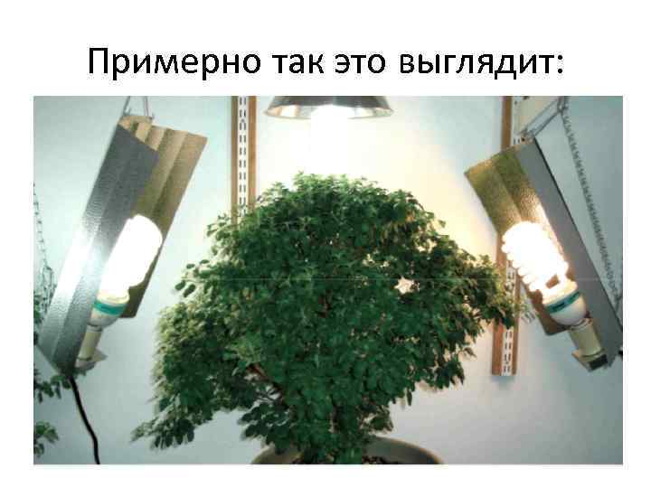 Примерно так это выглядит: 