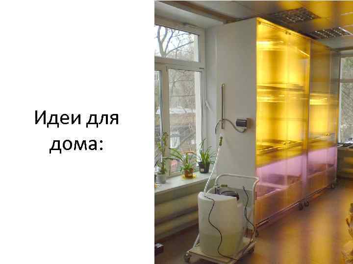 Идеи для дома: 