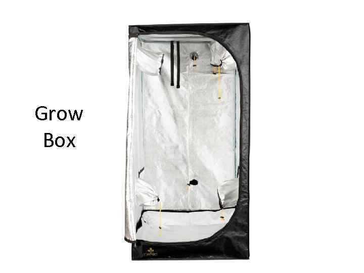 Grow Box 